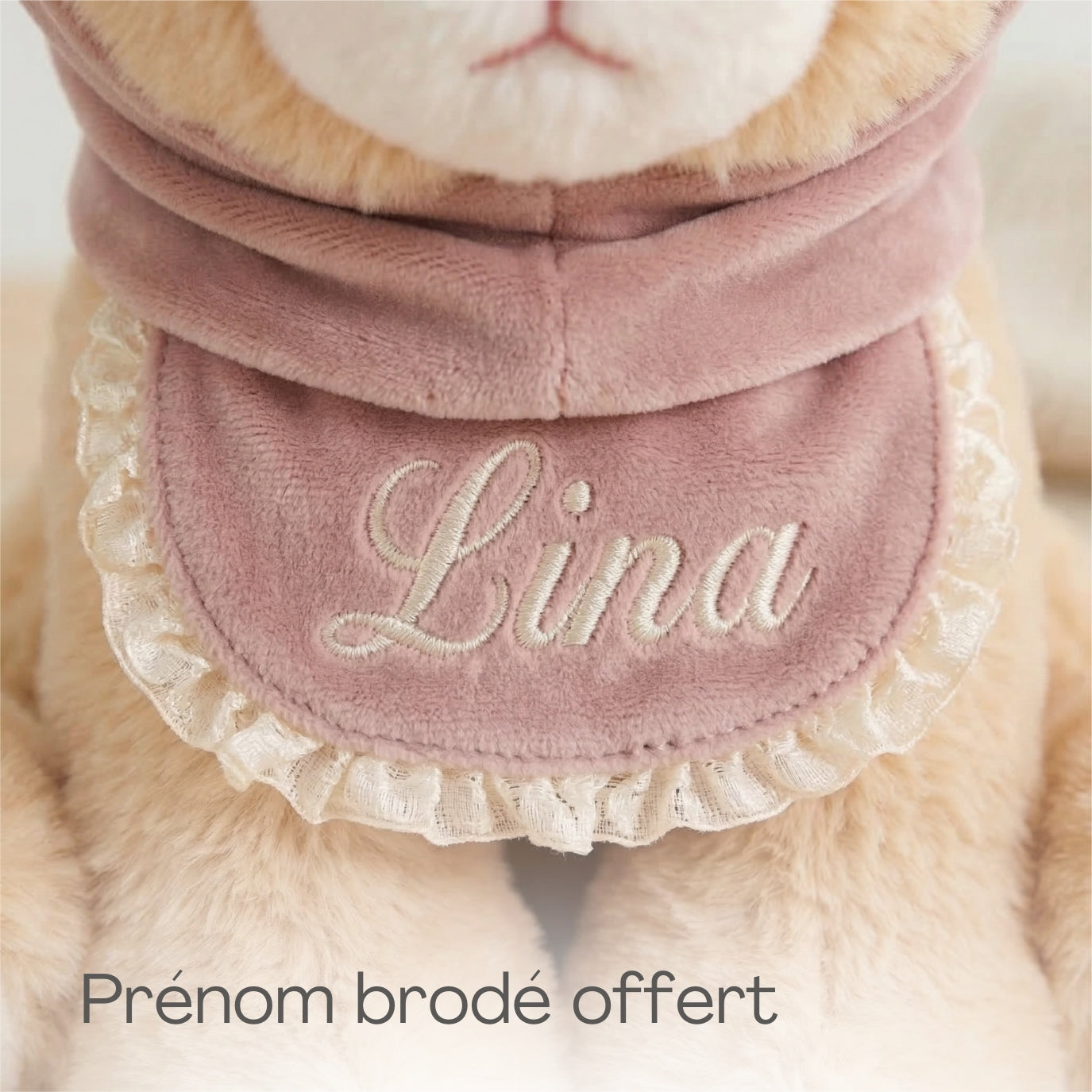 La petite lionne
